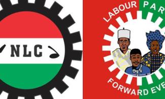 BREAKING: Labour Party Crisis: Nigeria Labour Congress Writes INEC Chairman, LP Legal Adviser Not To Validate 'Illegal National Convention' 