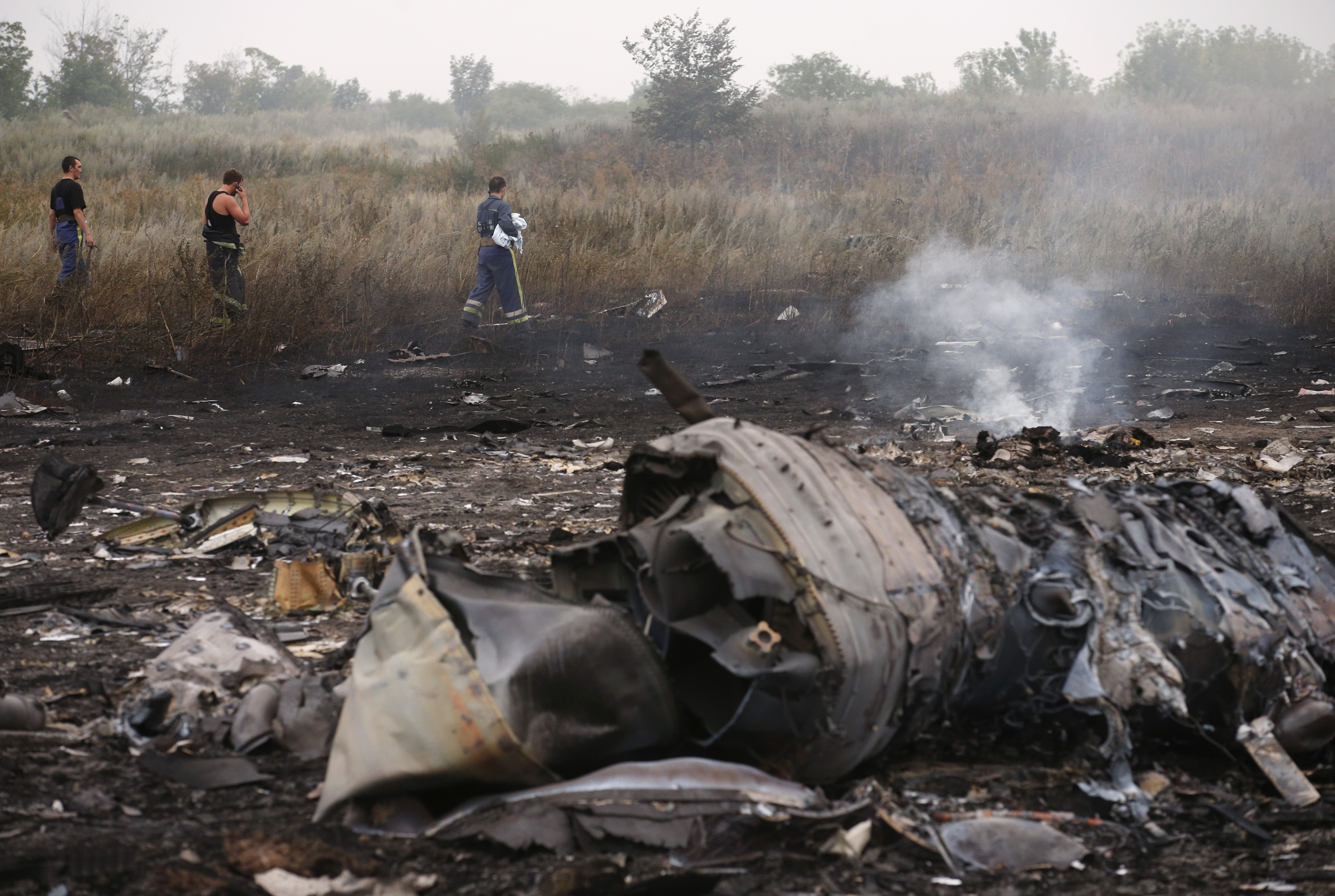 Malaysian Airlines MH17 Crash site