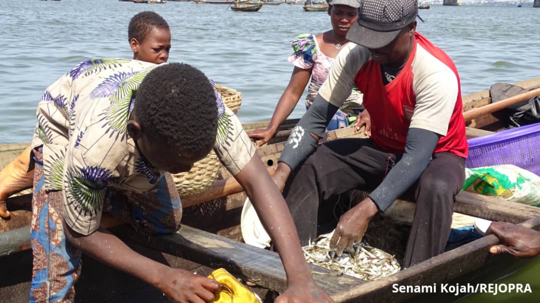 Local fisherman Segun Azankpo and his family sort White Bait inside his canoe.