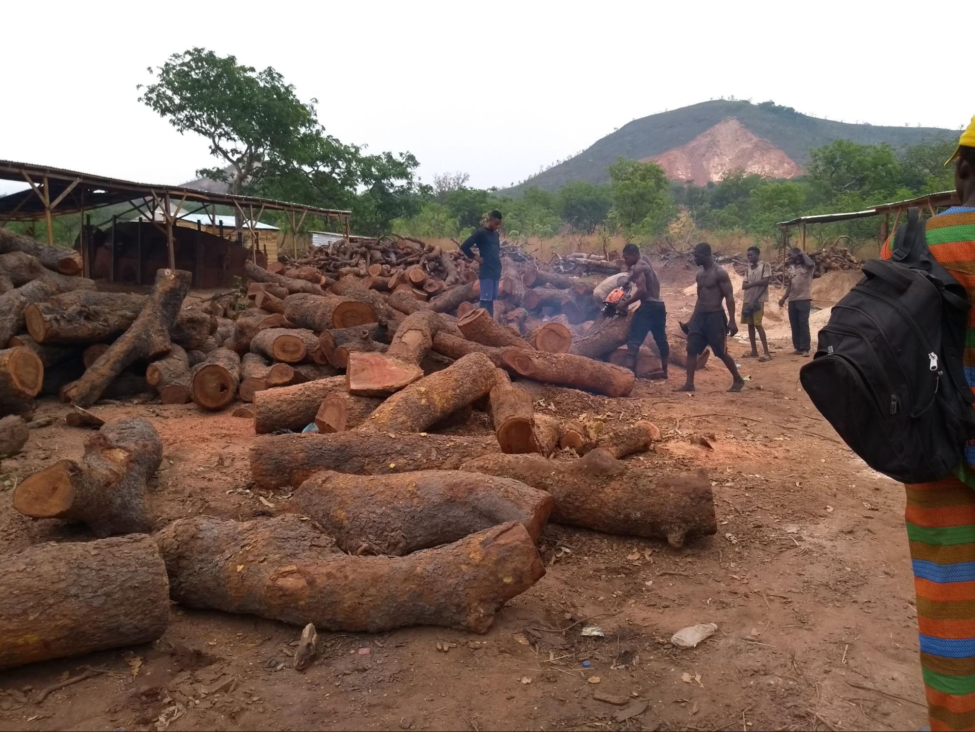  Logs of hardwood are cut to fit inside brick ovens at the charcoal factory in Obimo