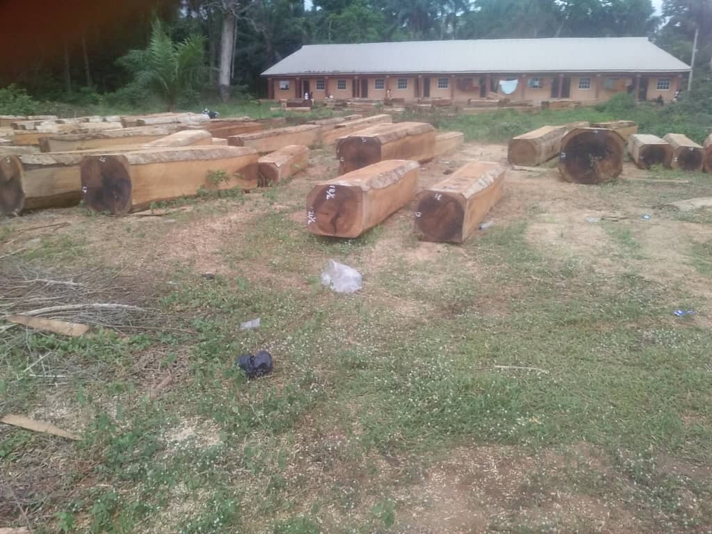 Timber export is prohibited in Nigeria but Kwo-Chief Investment exports wood to China from its depot in Obollo Afor.