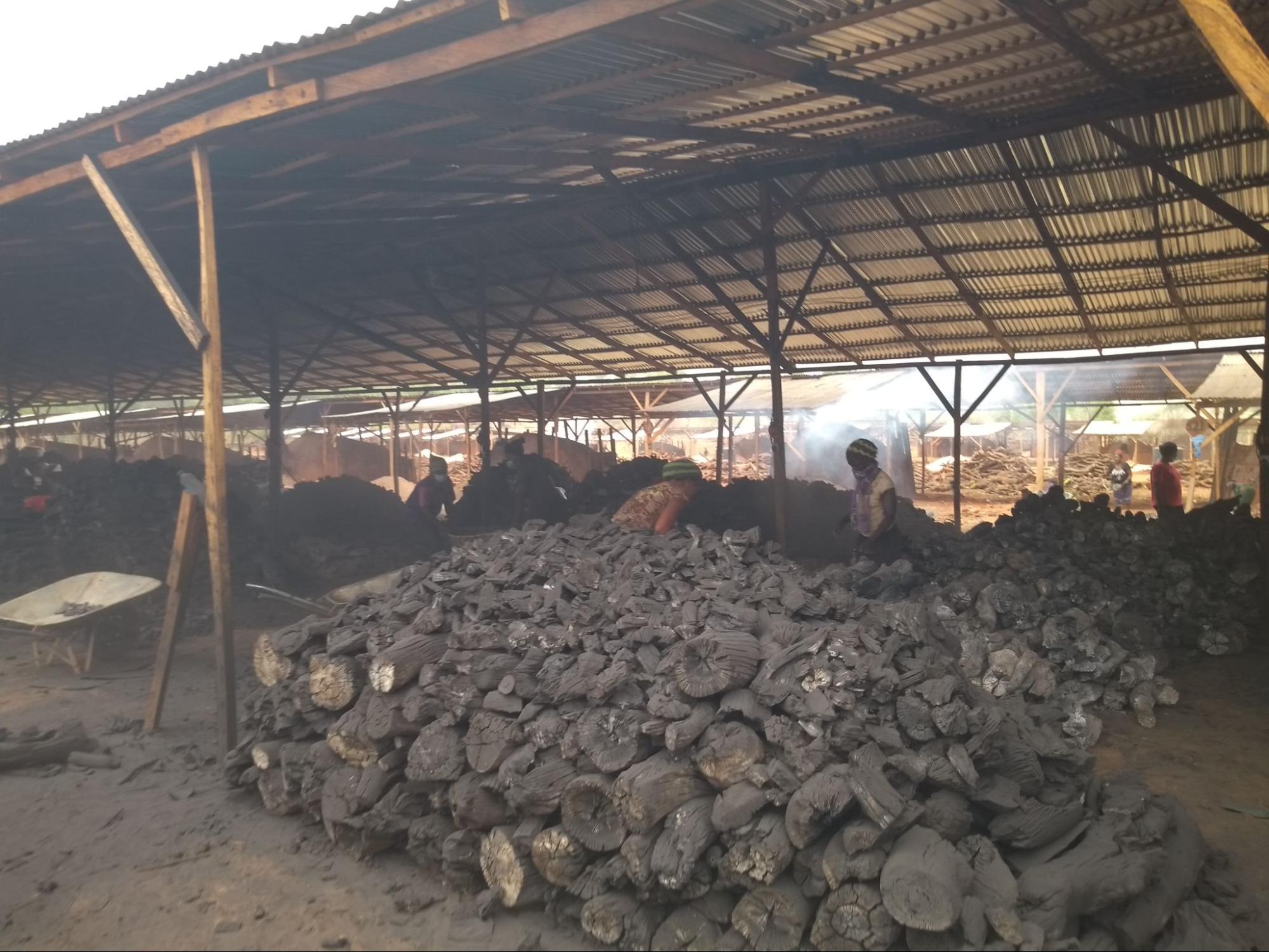 Logs of hardwood are burned in brick ovens to produce charcoal at the Chinese-run factory in Obimo.