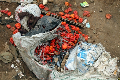 http://saharareporters.com/sites/default/files/page_images/galleries/2014/bomb-tomatoes.jpg?1397625319