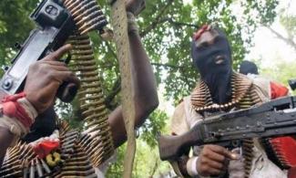 Terrorists Shoot Job-seeking Kidnap Victim Dead After Collecting N1.5Million Ransom In Adamawa 