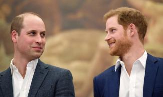 Prince Harry Recounts How He Was Physically Assaulted By His Brother, Prince William In New Book ‘Spare’