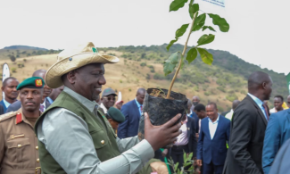 Kenya’s Tree Planting Exercise Has Failed Because We've Not Been Praying Before Planting —President Ruto