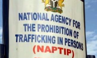 Anti-Trafficking Agency, NAPTIP Secures Conviction Of 47 Suspected Traffickers In 2023
