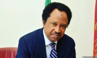 Central Bank’s Lifting Of Ban On Importation Of Toothpicks, Cement, Others Into Nigeria Is Disastrous — Shehu Sani