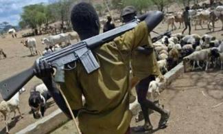 Armed Herdsmen Ambush Passengers' Vehicles In Benue State, Kill Three, Injure Others