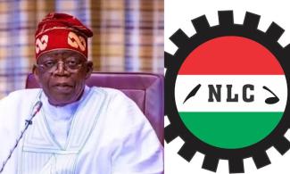 Organised Labour Lambasts Tinubu: You Are Focused On Distant 2027 Election Cycle And Fail To See Hardship Of Nigerians