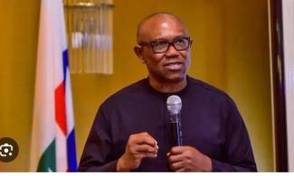 Peter Obi Calls For 'Total Review' Of 2024 Budget Over N3.7Trillion Padding Allegations