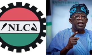 Electricity Tariff Hike: Tinubu Government Must Face Consequences – Nigerian Labour Congress