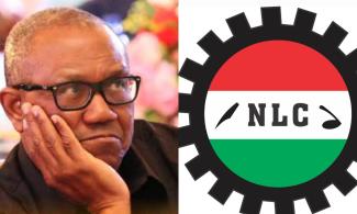 Peter Obi Is Free To Leave Labour Party, Says Nigeria Labour Congress
