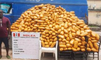 Nigerian Anti-Narcotics Agency, NDLEA Intercepts Illicit Drug Consignments In Lagos, Kano, Others; Arrests Suspected Drug Mules