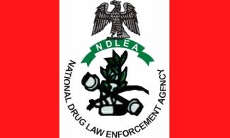 Nigerian Anti-Narcotics Agency, NDLEA Arrests 46 Drug Barons, Over 50,800 Others, Secures Conviction Of 9,034 In 3 Years   