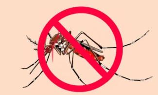 World Malaria Day: Nigeria Still Dirty, Not Environmentally Ready To End Malaria – #EndMalariaInNigeria