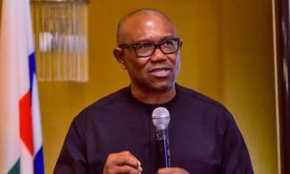 Labour Party Crises Are Small Compared To Nigeria's Problems –Peter Obi