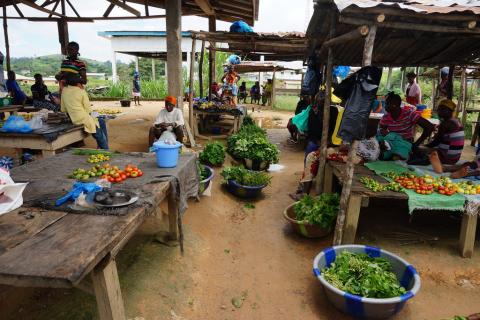 Farming Liberia