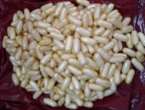 India Police Arrest Nigerian Man With 216 Cocaine Grammes In His Faeces