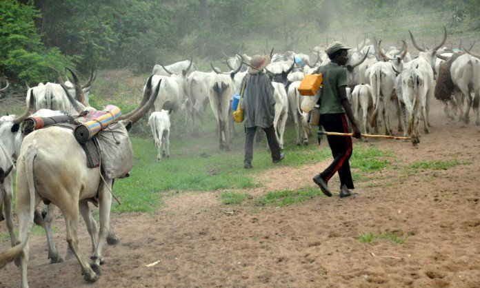 [GIST] Fulani Herdsmen Kill Three Residents, Kidnap Two Others In Enugu Community After Police Commissioner, Army Chief Visited, Made ‘Empty Promises’