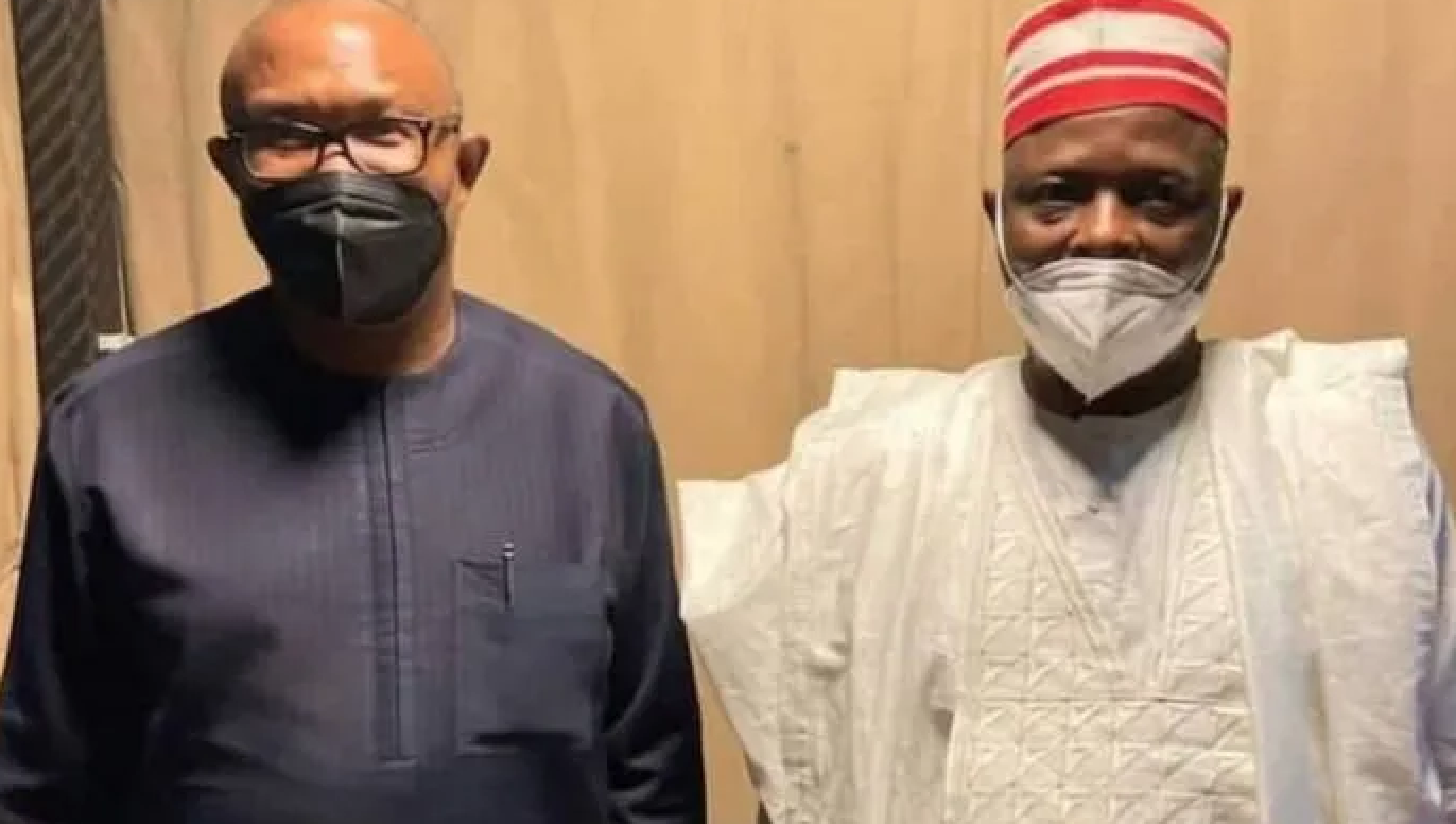 Labour Party-NNPP Merger: We're Yet To Agree On If Peter Obi Or Kwankwaso Will Be Presented As Presidential Candidate— Doyin Okupe