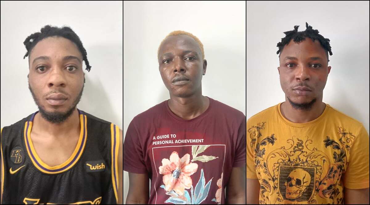 Indian Police Arrest Two Nigerians, One Ghanaian For Creating Fake Hospital Website To Scam Prospective Kidney Donors