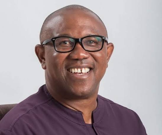 [GIST] Peter Obi’s ‘Obidient Movement’ Will Turn To ‘Disobidient Movement’ After 2023 Elections, They Only Exist On Social Media – APC Chieftain