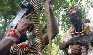 Nigerian Herders’ Union, MACBAN Allege Killing Of 5 Members By Bandits In Plateau, Say 19 Others Missing   