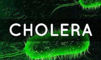 Cholera Outbreak Kills 2, Several Others In Critical Condition In Nigerian State, Adamawa
