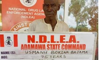 Nigerian Anti-Narcotics Agency, NDLEA Arrests 75-year-old Grandpa, 21 Others Over Tons Of Illicit Drugs 