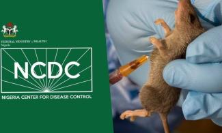 Lassa Fever Spreads To 26 Nigerian States, 104 Local Council Areas With 6,883 Suspected Cases – Centre For Disease Control