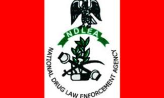 Anti-Narcotics Agency, NDLEA Releases Teenage Boy Detained In Ondo For 10 Days After SaharaReporters’ Story