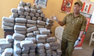 Anti-Narcotics Agency, NDLEA Seizes Three-Bedroom Bungalow, 250kg Hard Drugs, Arrests 55 Offenders In Adamawa