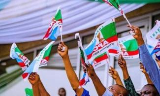 Swarm Of Bees Disrupts All Progressives Congress Rally In Kogi State