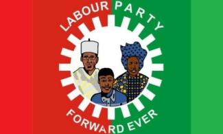Nigerian Court Sacks Enugu Labour Party Governorship Candidate, Orders Fresh Primary Within 14 Days
