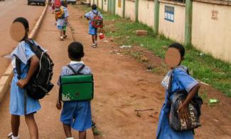 In Ogun Community, Daily 12-kilometre Trek Puts Students’ Health at Risk
