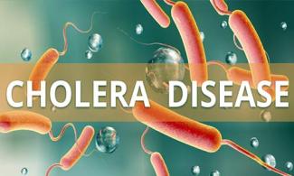 Over 20 Persons Feared Dead In Nigerian Community In Cross River Over Cholera Outbreak
