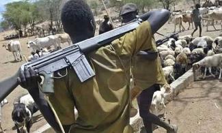 16 Killed In Fresh Attack On Enugu Community By Suspected Herders, Residents Flee Homes