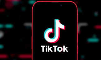Dutch Government, Norwegian Minister Advise Officials To Remove TikTok From Work Phones 