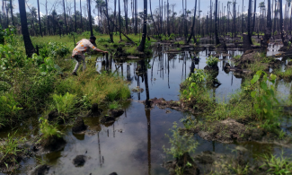  TotalEnergies Oil Pollution Causing Deaths In Nigerian State As Host Communities Forced To Engage In Illegal Crude Oil Mining