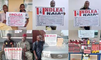 185 Suspects Arrested At Abuja, Kano Drug Joints; Saudi-bound Cocaine Parcels, 24kg Cannabis From Canada Seized In Nigeria