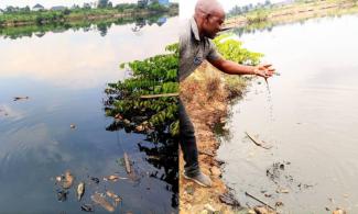 Massive Oil Spills From Shell Facility Hit Parts Of Nigeria’s Ogoni Land, Homes, Farmland Affected, MOSOP Alleges