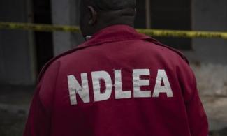 Anti-Narcotics Agency, NDLEA Busts Secret Laboratory Producing Illicit Substance, Hard Drugs In Lagos