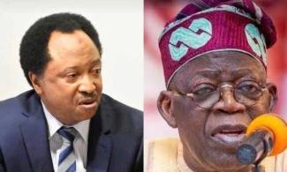 Probe Ex-President Buhari, His Ministers And Cabal Members, Others Over Plunder Of Nigeria’s Wealth, Shehu Sani Tells Tinubu