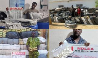 Nigerian Narcotic Agency, NDLEA Arrests Alleged Drug Lord In Lagos Hotel, Recovers 12.4Million Pills Of Opioids, 7kg Skunk, Others In Ondo, Edo, Others