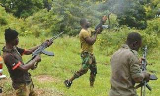 Gunmen Reportedly Kidnap Five Persons In Ebonyi, Southeast Nigeria 