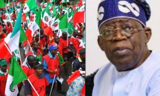 Indefinite Strike: Tinubu Government Hasn’t Reached Any Agreement Or Scheduled Meeting With Us – Nigerian Labour Congress