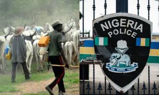 Harvest Your Crops Quickly To Allow Herdsmen’s Free Grazing, Prevent Clashes – Nigerian Police Tell Bauchi Farmers