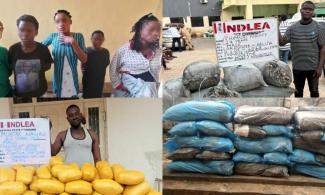 Nigerian Narcotic Agency, NDLEA Seizes Illicit Drug Consignment At Lagos Airport, Intercepts Five Pregnant Victims Of 'Baby Factory' Business