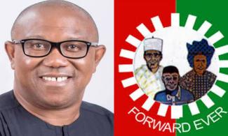 BREAKING: Labour Party Gives Peter Obi 48 Hours To Make Academic Records Public, Clarify Discrepancies In Credentials Or Be Suspended